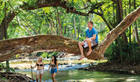 Port Douglas Accommodation - centrally located to the Daintree Rainforest